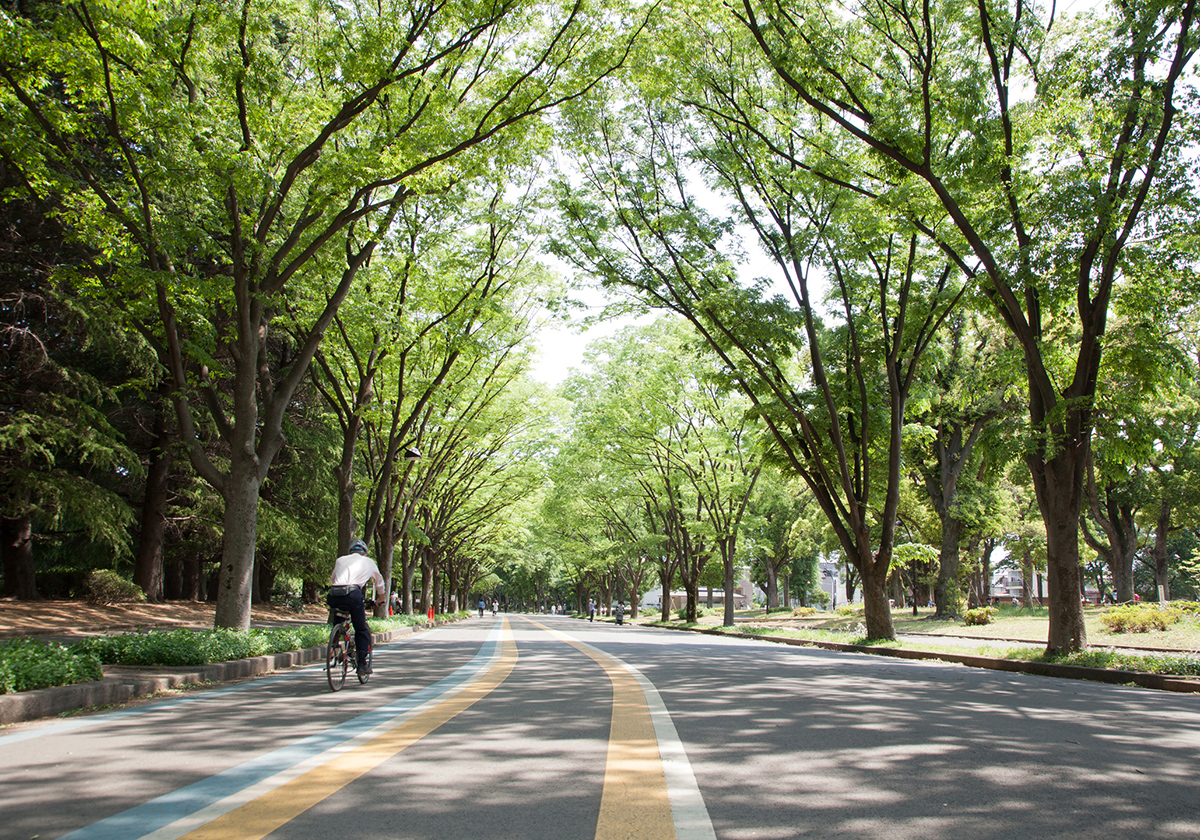 駒沢公園