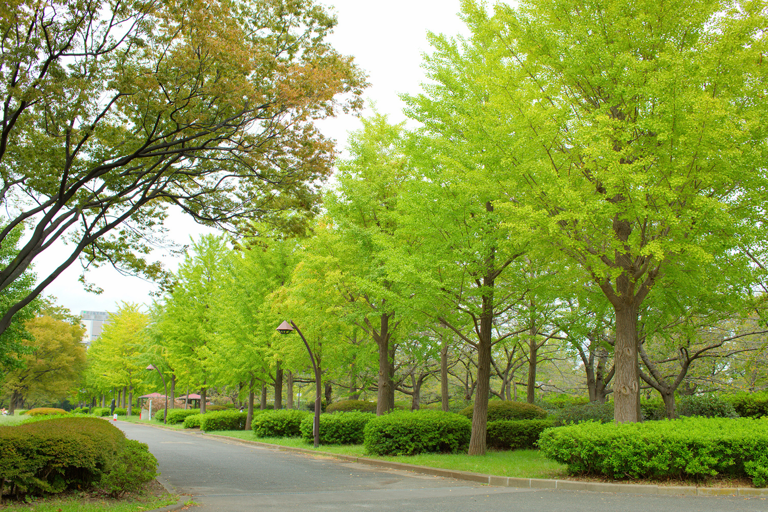 猿江恩賜公園